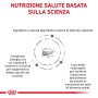 Grafica informativa sulla composizione nutrizionale del cibo secco per cani t.b.t.