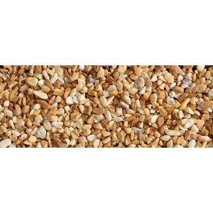 Primo piano di ghiaia decorativa t.b.t., ideale per vialetti e decorazioni da giardino.