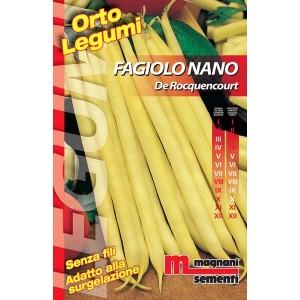 Confezione di semi per fagiolini Fagiolo Nano De Rocquencourt, baccelli gialli. Semi da orto.