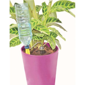Irrigazione automatica con bottiglia d'acqua in vaso rosa per piante da giardino.