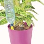 Irrigazione automatica con bottiglia d'acqua in vaso rosa per piante da giardino.