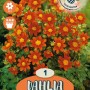 Dalie arancioni "Topmix Orange" come bulbi da fiore per il giardino.