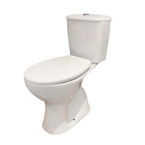 WC monoblocco t.b.t. bianco con cassetta di risciacquo chiusa.