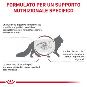 Grafica che illustra i problemi digestivi nei gatti e il loro impatto sull'assorbimento dei nutrienti.