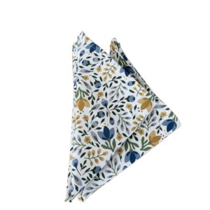 Coppia tovaglioli in cotone Gioia 40x40 cm azzurro 2 pz