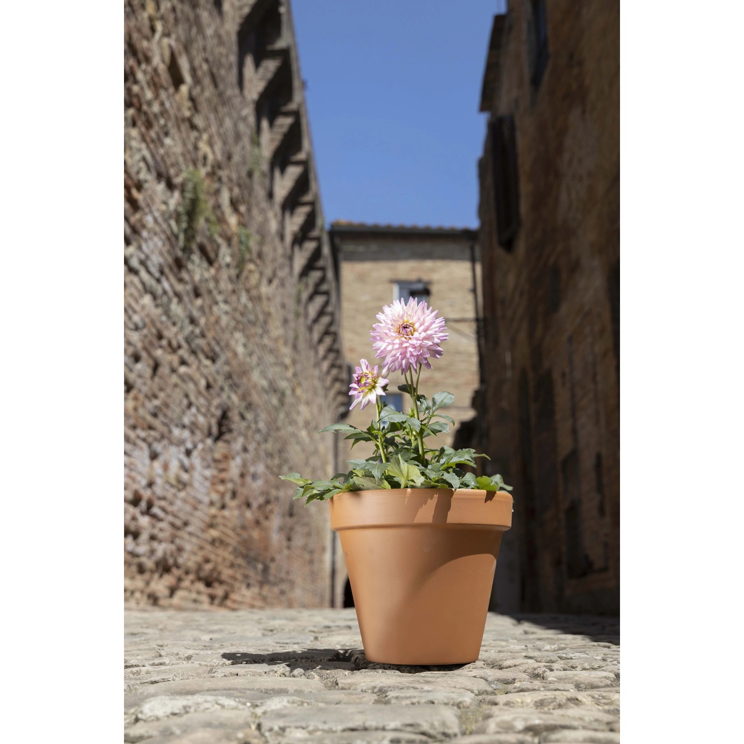 Vaso per piante Standard in terracotta ø 17 cm_2