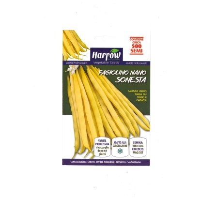 Semi orto Harrow Fagiolo Sonesta 500