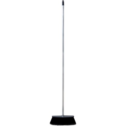 Scopa piuma per interni con manico