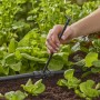 Tubo di prolunga Gardena (20 cm) per ugelli a spruzzo nel sistema Micro-Drip in uso nell'orto.