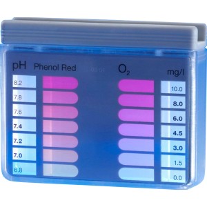 Tester per piscina Summer Fun per misurare i livelli di ossigeno e pH. Include pastiglie di test.