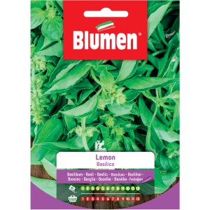 Confezione di semi di basilico limone di Blumen, ideale per l'orto.