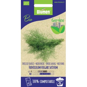 Semi di finocchietto selvatico bio di Blumen per erbe aromatiche in giardino.