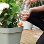 Irrigazione automatica: bottiglia d'acqua con accessorio per piante in vaso.