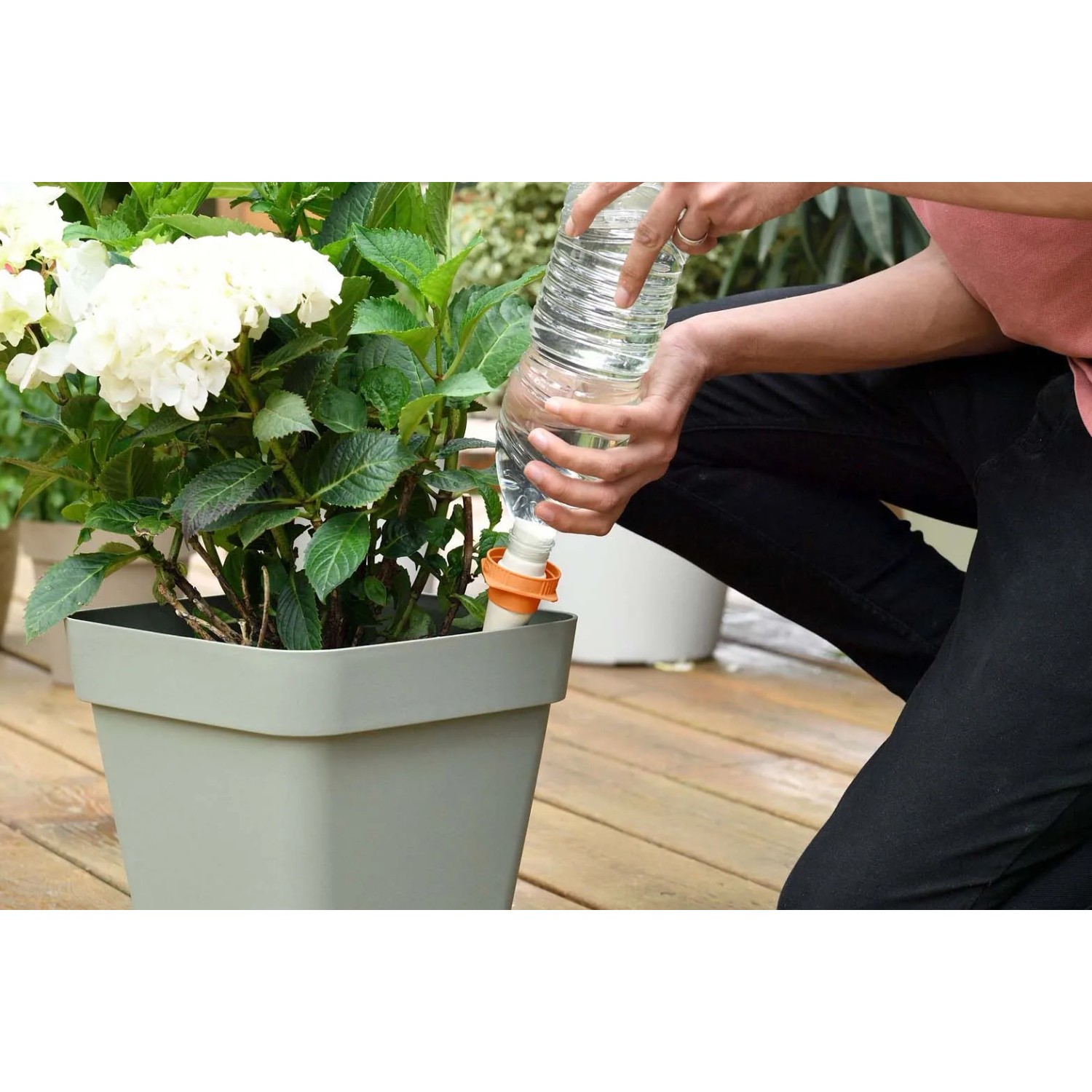 Irrigazione automatica: bottiglia d'acqua con accessorio per piante in vaso.