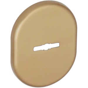 Rosetta dorata per maniglia per porte interne.