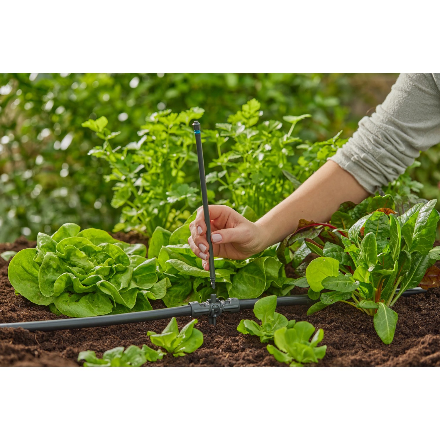 Tubo di prolunga Gardena da 20 cm per ugelli a spruzzo in uso nell'orto.