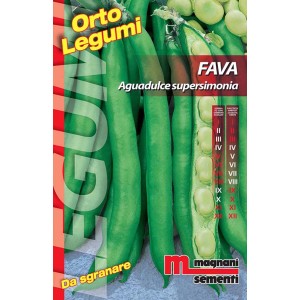Confezione di semi di fave 'Aguadulce supersimonia' per l'orto.