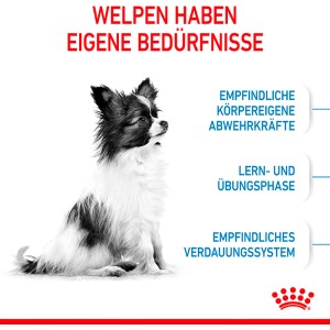 Cucciolo piccolo seduto. Royal Canin X-Small Puppy cibo secco per cani di taglia molto piccola.