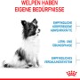 Cucciolo piccolo seduto. Royal Canin X-Small Puppy cibo secco per cani di taglia molto piccola.