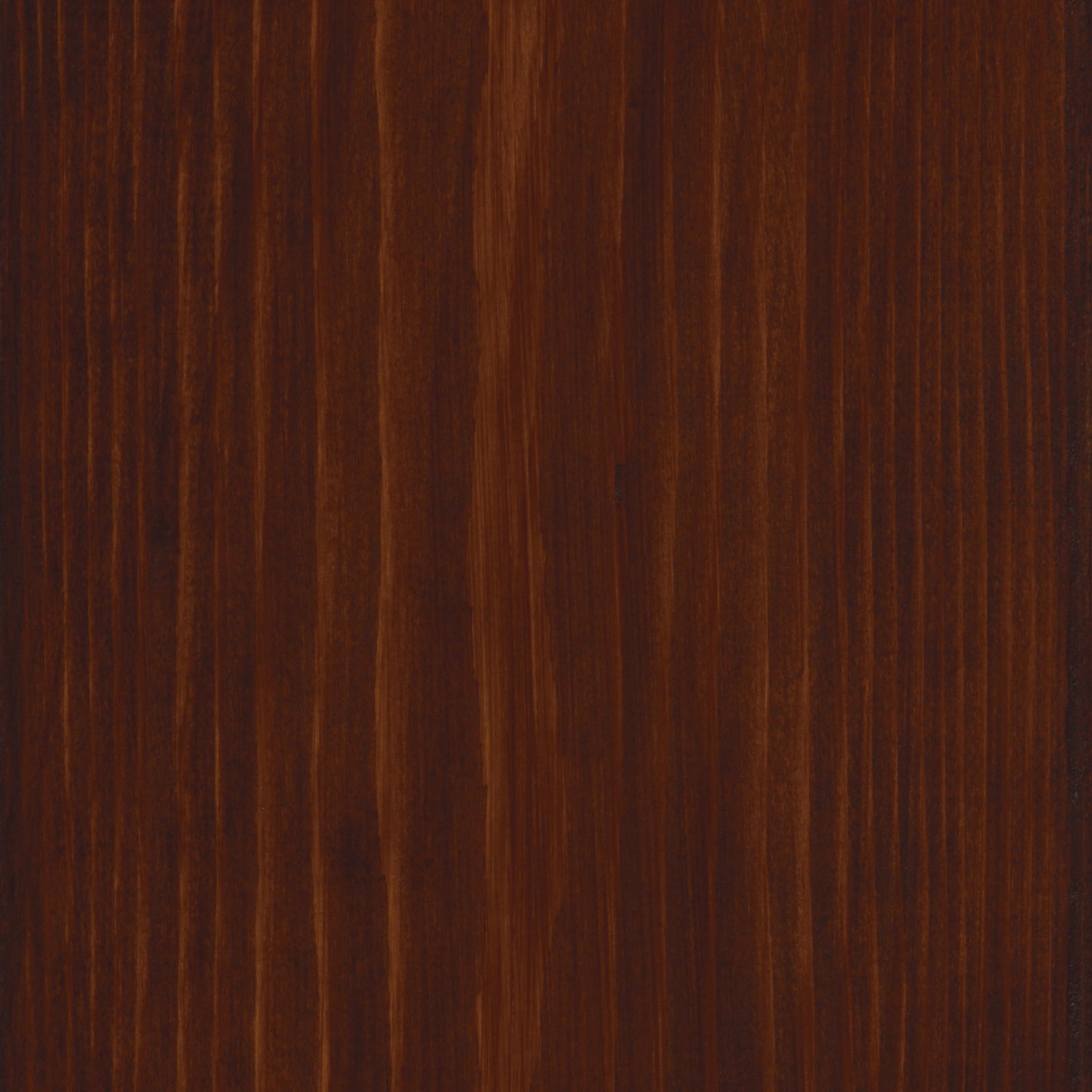 Primo piano di legno trattato marrone scuro con venature. Impregnante per legno.