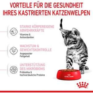 Royal Canin Kitten Sterilised: Gattino davanti a ciotola rossa con cibo secco. Speciale per gattini sterilizzati.