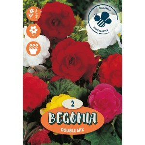 Bulbi da fiore Begonia Double Mix