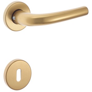 Set maniglia per porta dorata per interni.