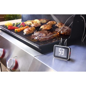 Weber Smart Hub display base station durante la grigliatura di carne e verdure.