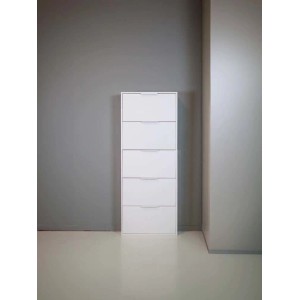 Scarpiera 5 ribalte 173,5x65x15 cm bianco