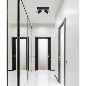 Globo Faretto Robby, 2 luci, nero opaco. Plafoniera per lampadine GU10.