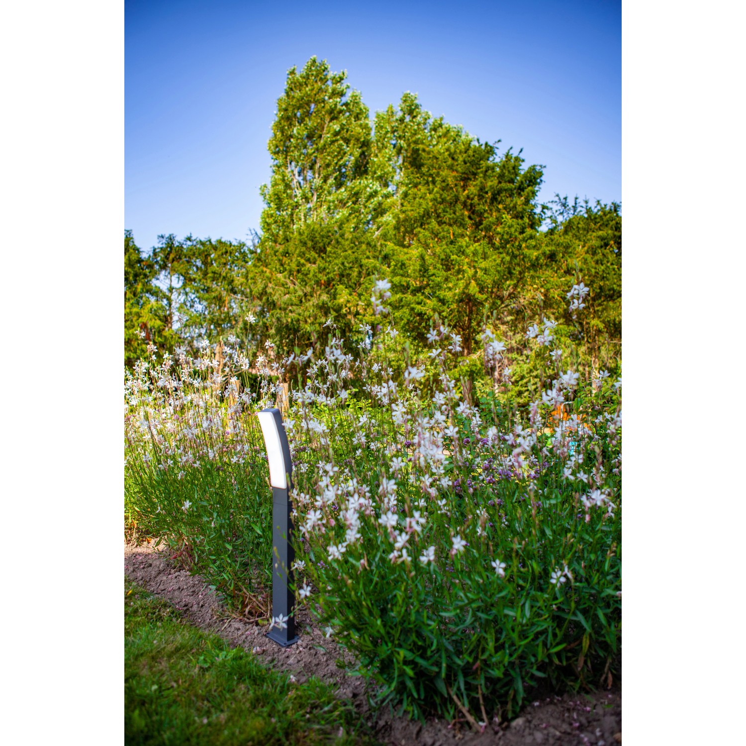 Lutec LED da vialetto Kira (74 cm) color antracite in giardino tra i fiori.