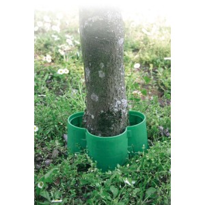 Protezione per albero t.b.t. verde attorno al tronco in giardino.