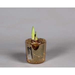 t.b.t. Composizione di pianta da interno in vaso dorato con luci LED.