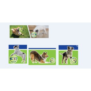 Collage di diversi cani che giocano con la palla giocattolo t.b.t.