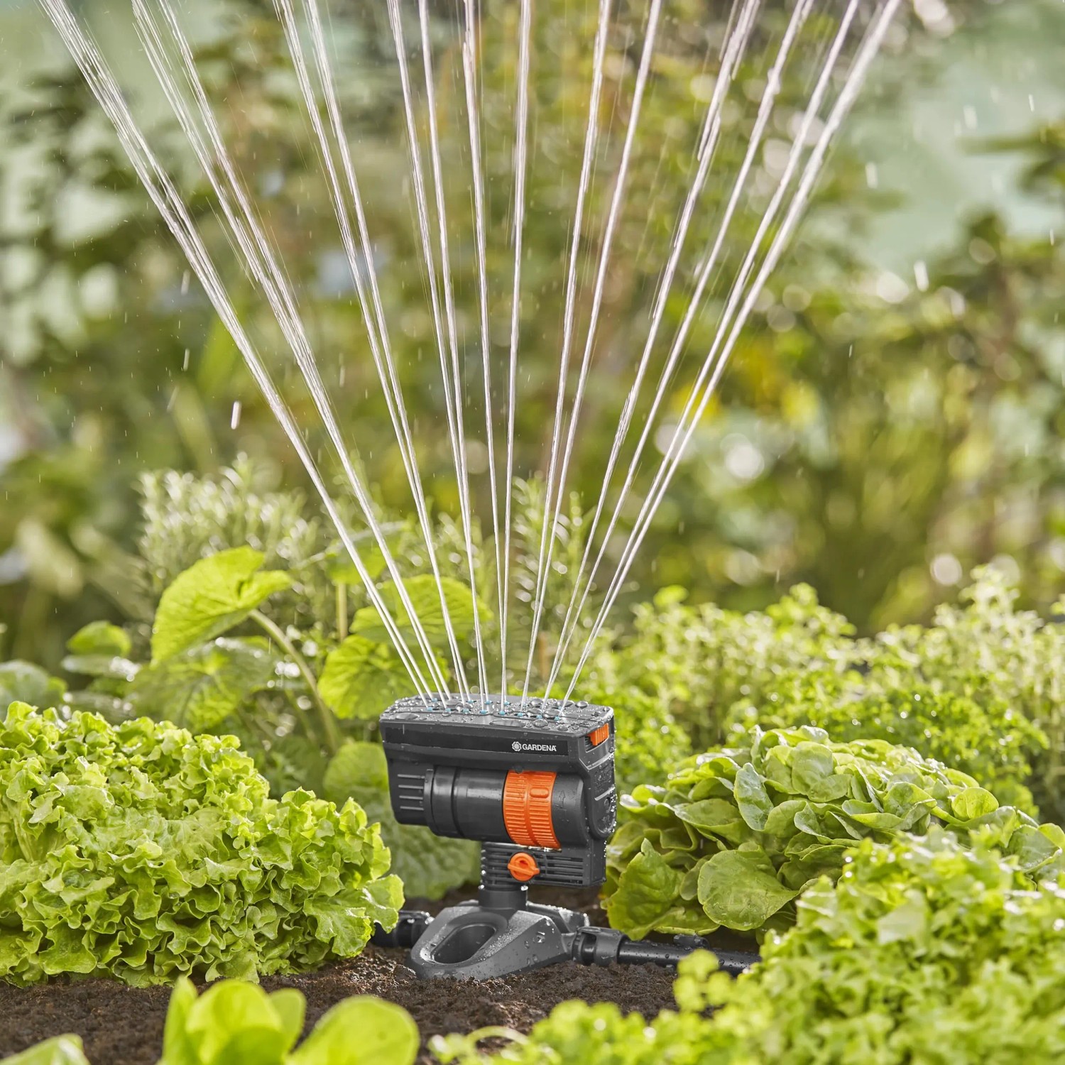 Irrigatore oscillante Gardena OS 90v in azione: irrigazione a copertura totale in giardino con Micro-Drip-System.