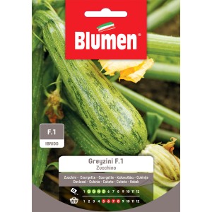 Confezione di semi di zucchine Greyzini F.1, semi di ortaggi per l'orto.
