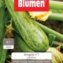 Confezione di semi di zucchine Greyzini F.1, semi di ortaggi per l'orto.