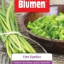 Semi di erba cipollina di Blumen, Erba Cipollina, per erbe aromatiche in giardino.