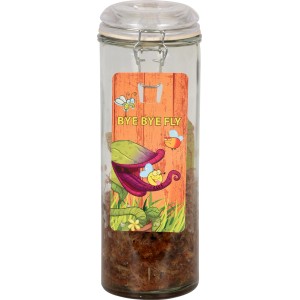 Pianta brocca in vaso di vetro (Ø 13cm) con etichetta decorativa. Pianta carnivora in vetro.