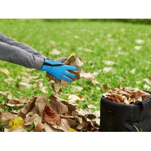 Guanto per tutte le stagioni taglia 8 mentre raccoglie foglie in giardino.