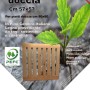 Griglia doccia in legno, accessorio per doccia, 57x57 cm