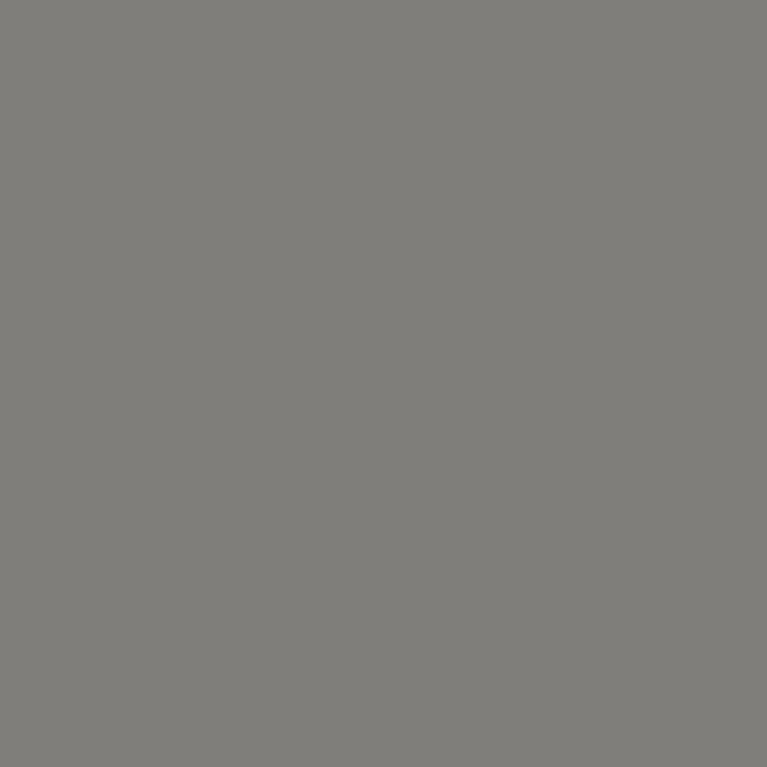 Pittura murale grigia opaca Skyline di OBI Design Color, 2,5 l per interni.