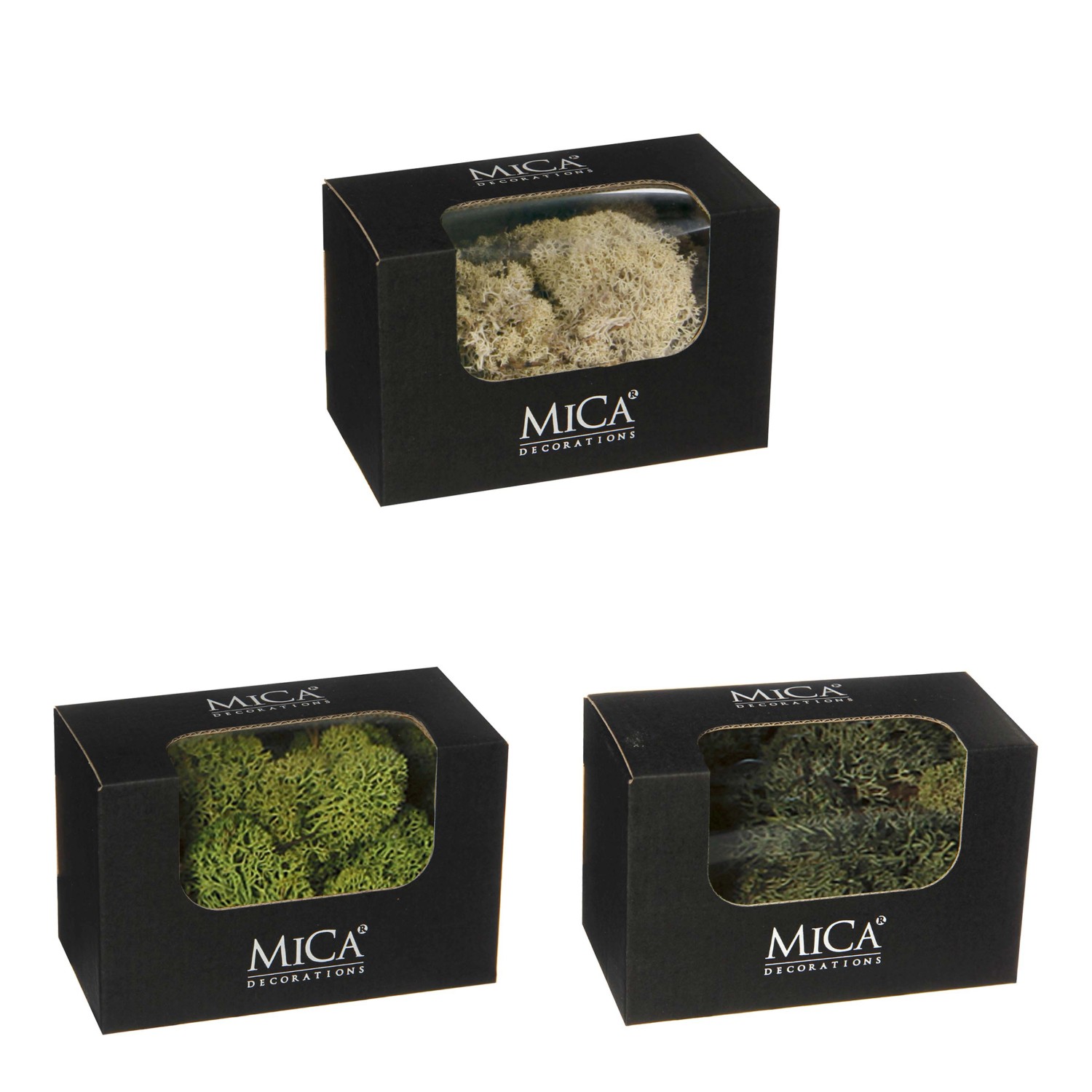 Portamollette Da Bucato Con 15 Mollette - Cestello Pratico Per Stendere