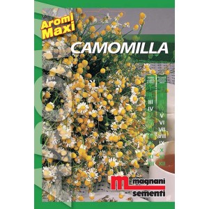 Confezione di semi di camomilla, una varietà di erba aromatica per il giardino.