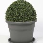 Vaso cilindro Unica 20 cm grigio fumo light_2