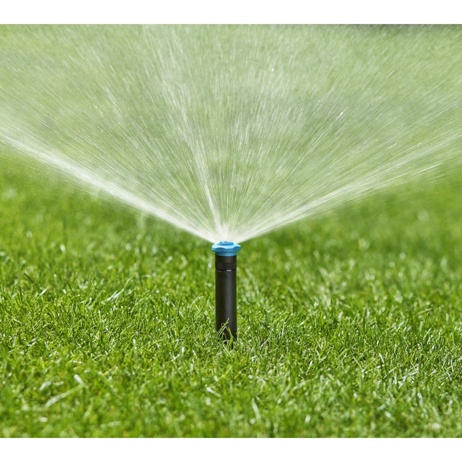 Irrigatore a scomparsa Gardena SD30 che irriga il prato. Sistema di irrigazione in azione.
