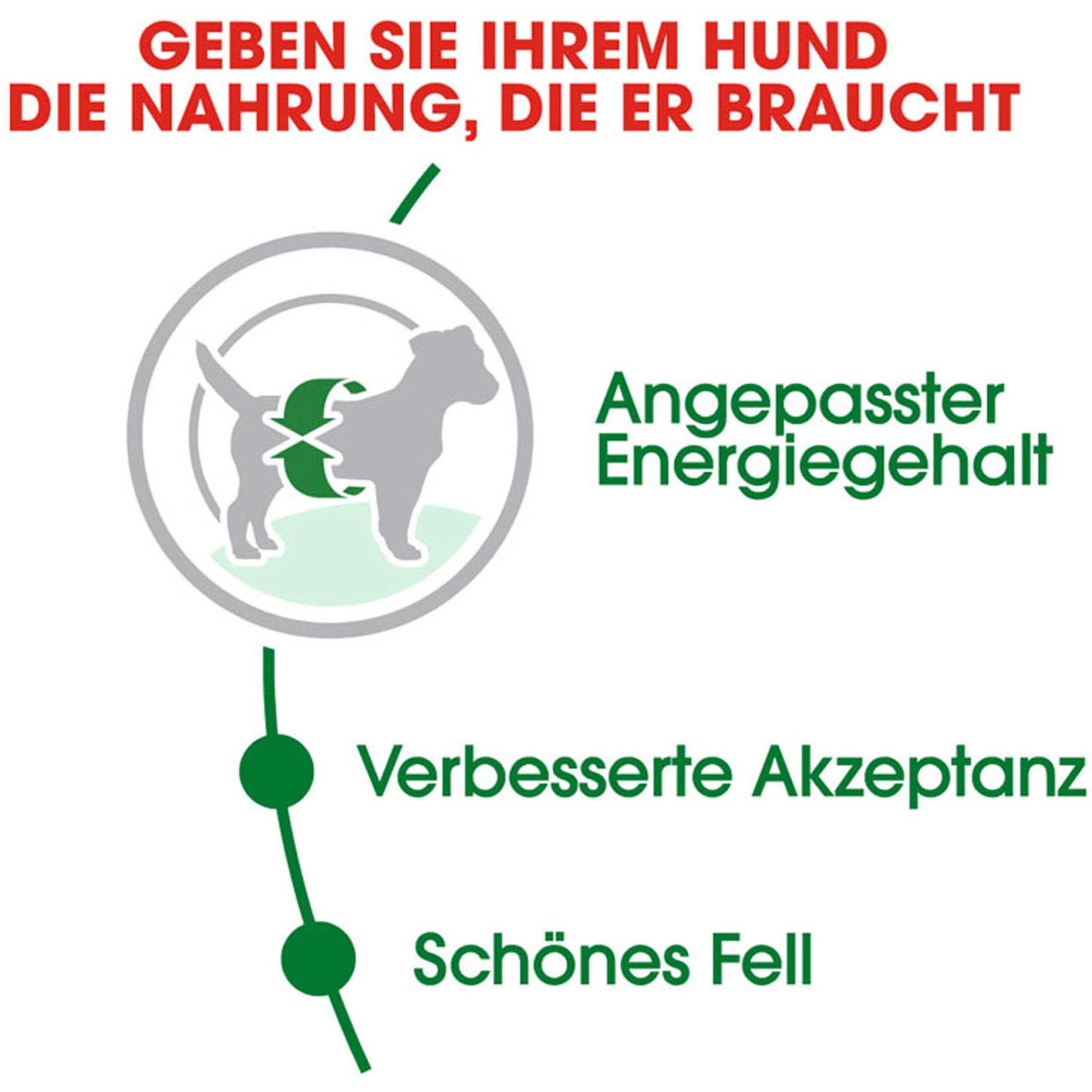 Grafica: Royal Canin Mini Adult – vantaggi per cani di piccola taglia (energia, accettazione, pelo).