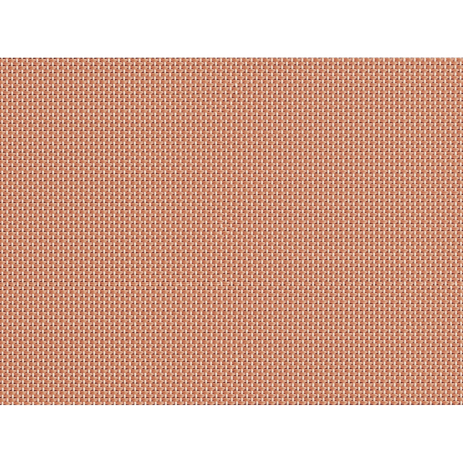 Scatola Portavetrini Per Microscopio - 100 Posti Arancione - Per Vetrini 25x75 Mm - Foto 2