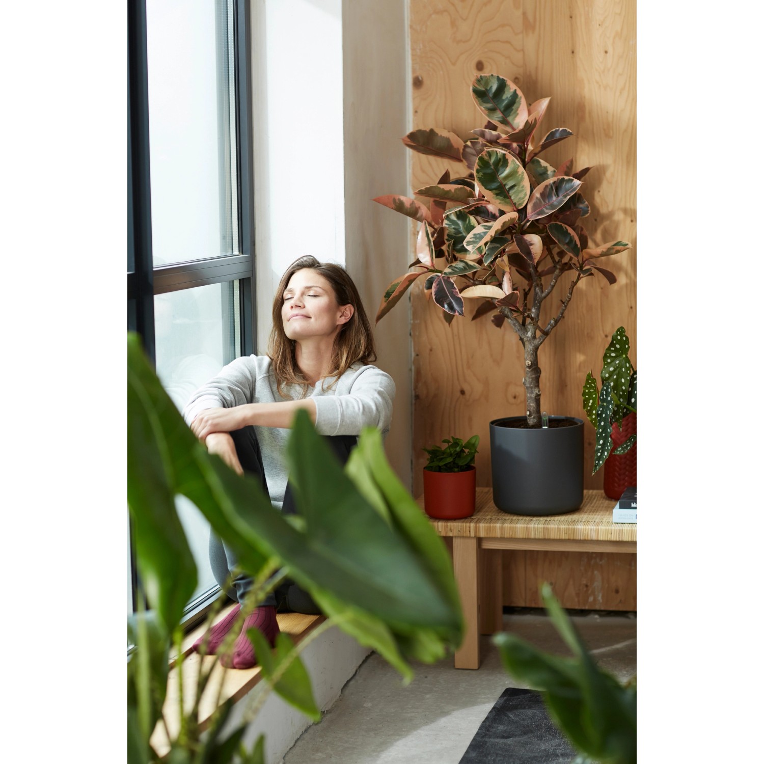 Vaso di fiori antracite Elho B.For Soft Round (Ø 16 cm) con pianta in una scena di soggiorno.