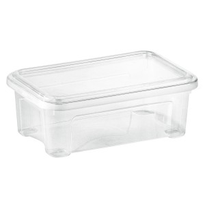 Contenitore/box t.b.t. trasparente con coperchio, ideale per lo stoccaggio.